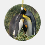 King penguins Lovers Ornaments
