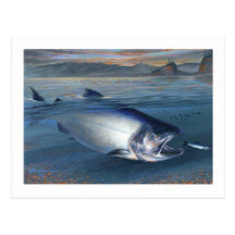 King Salmon Postcard
