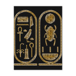 King Tut  Hieroglyphics