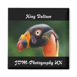 King Vulture magnets