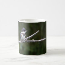 kingfisher coffee mug