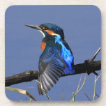 Kingfisher Cork Coaster cork coasters