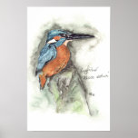 Kingfisher in watercolour posters