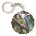 Kingfisher keychains