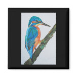 Kingfisher Magnet