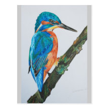 Kingfisher Merchandise Postcard