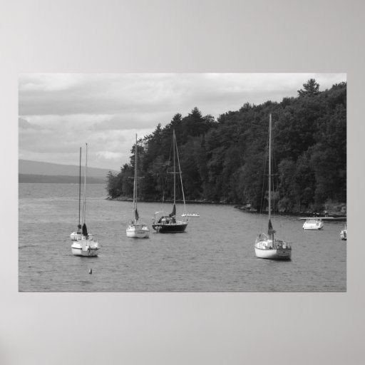 Kingsland Bay Poster