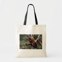 Kinkajou (Potos flavus) Canvas Bag