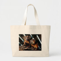 Kinkajous Tote Bags