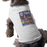Kirra - Witch, Cat and Owl Pet Shirt pet clothing
