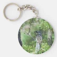 Kirtland's Warbler Keychain