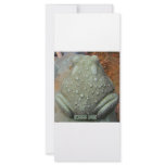KISS ME FROG rack cards