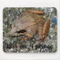kiss me, i prince mousepads