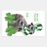 Kiss me I'm a Irish meerkat design Rectangle Stickers
