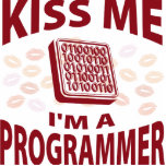 Kiss Me I'm A Programmer photo sculptures