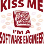 Kiss Me I'm A Software Engineer photo sculptures