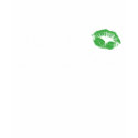 Kiss Me I'm Irish t-shirts