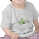 Kiss Me I'm Irish t-shirts