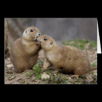 Kiss Me Quick Card