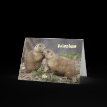 Kiss Me Quick Valentine's Card