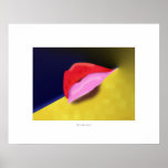 Kiss Me Silly posters