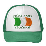 Kiss My Arse! (Irish Gaelic) Cap Mesh Hat