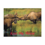 kiss my moose, Kiss My Moose postcards