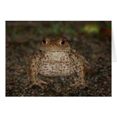 Kiss the Frog Card by pulsDesign