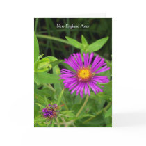 Kiss without a Hug... Greeting Cards