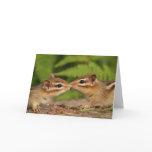 Kissing Baby Chipmunks Card