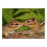 Kissing Baby Chipmunks Card