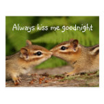 Kissing Baby Chipmunks Postcard