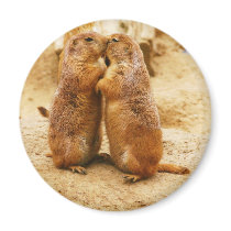 Kissing Black Tailed Prairie Dogs Fridge Magnet