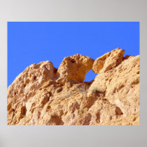 Kissing Camels