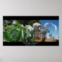 Kissing Cousins posters