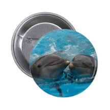 Kissing Dolphins Buttons