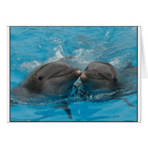 Kissing Dolphins Card