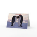 Kissing Emperor Penguin Valentine'... cards