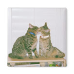 Kissing my brother magnets