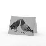 Kissing Pigeons Greeting Card