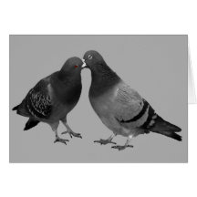 Kissing Pigeons Greeting Card