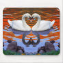 Kissing Swans in Love, Heart Shape Necks
