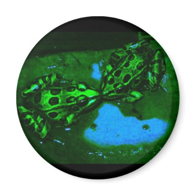 kissy frogs fridge magnets by sumiko