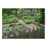 Kitchen Garden II Cards
