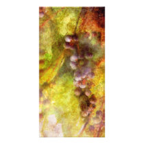 Kitchen - Wine - Grapes