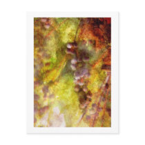 Kitchen - Wine - Grapes