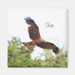 Kite in flight..... refrigerator magnet