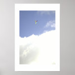 Kite posters