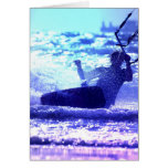 Kite Surfing Greeting Card cards