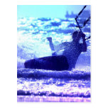 Kite Surfing Postcard postcards